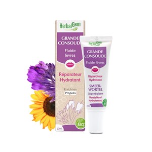 Herbalgem - grande consoude fluide lèvres - bio