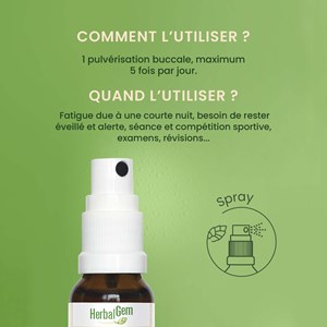Herbalgem - energem coup de boost - bio