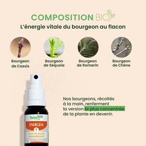 Herbalgem - energem coup de boost - bio