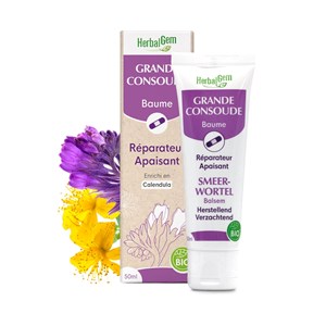 Herbalgem - grande consoude baume - bio