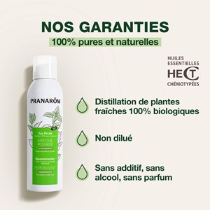 Pranarom - hydrolat de menthe poivrée - bio