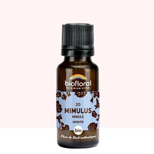 Biofloral - 20 mimulus, mimule - bio