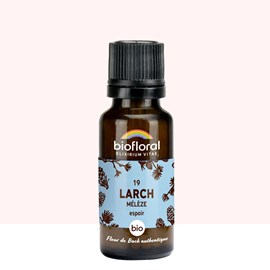 Biofloral - 19 larch, mélèze - bio