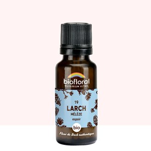 Biofloral - 19 larch, mélèze - bio