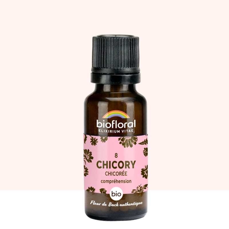 Biofloral - 08 chicory, chicorée - bio