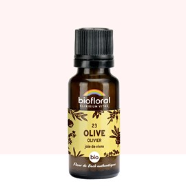 Biofloral - 23 olive, olivier - bio