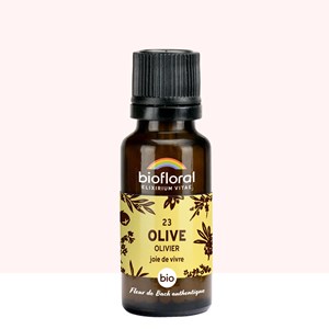 Biofloral - 23 olive, olivier - bio