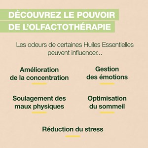 Pranarom - roll-on focus - bio