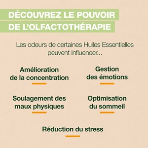 Pranarom - brume dynamisante energy - bio