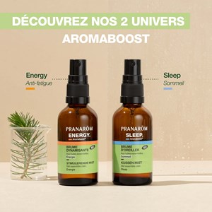 Pranarom - brume dynamisante energy - bio
