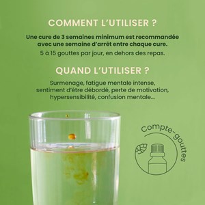 Herbalgem - energem surcharge mentale - bio