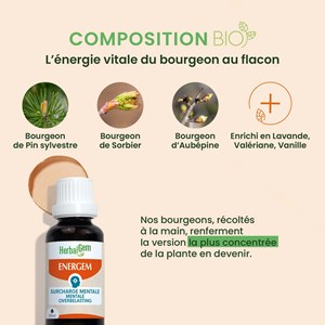 Herbalgem - energem surcharge mentale - bio