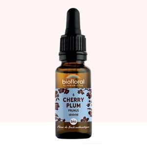 Biofloral - fleur de bach n°06 cherry plum, prunus - bio demeter