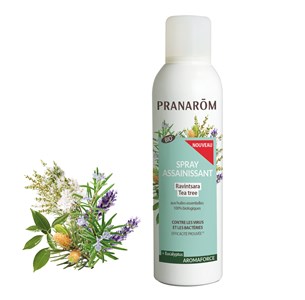 Pranarom - spray assainissant ravintsara - tea-tree - bio - 150 ml