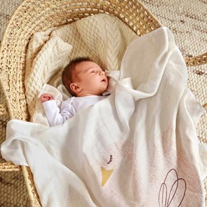 Lot 3 langes cygne little water (80 x 80 cm)