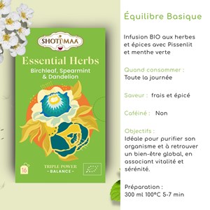 Tisane infusion équilibre basique bio – bouleau, menthe & pissenlit