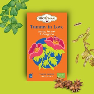 Tisane bio tummy in love – infusion digestive fenouil, anis & épices