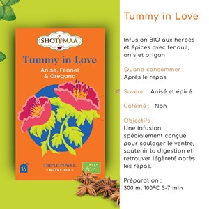 Tisane bio tummy in love – infusion digestive fenouil, anis & épices