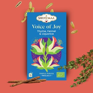 Tisane bio voice of joy – infusion réglisse, fenouil & épices réconfortantes