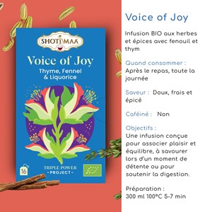 Tisane bio voice of joy – infusion réglisse, fenouil & épices réconfortantes