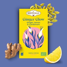 Tisane bio ginger glow – infusion gingembre & citron, énergie & digestion
