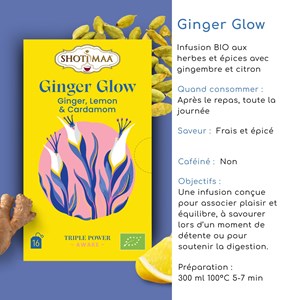 Tisane bio ginger glow – infusion gingembre & citron, énergie & digestion