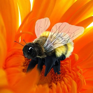 Marionnette à main abeille