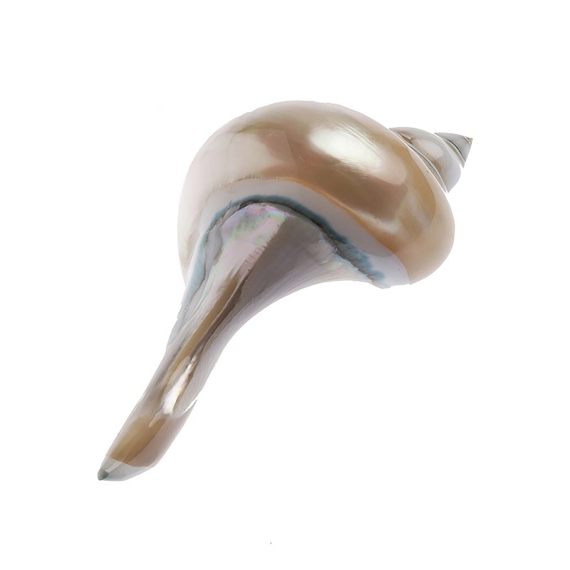 Coquillage - repose-couteau en nacre -