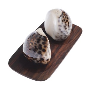 Coquillage - duo salière et poivrier en