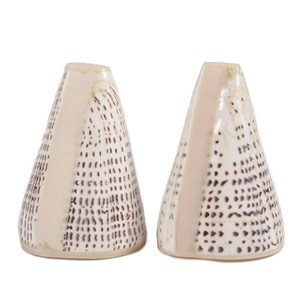 Cone - duo salière et poivrier en coquillage naturel - 6.5 à 9.5cm
