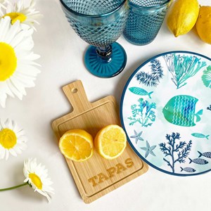 Petite assiette mélamine caraïbes 23 c