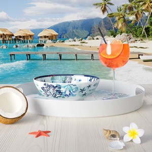 Assiette creuse mélamine caraïbes 19 c