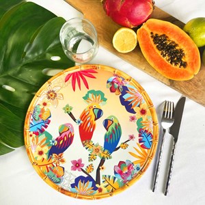 Grande assiette mélamine perroquets 28c