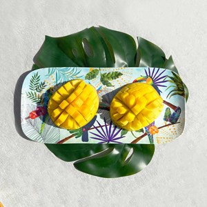 Plat à cake rectangulaire en mélamine