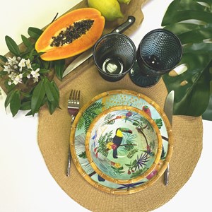 Petit bol en mélamine toucans de rio 15