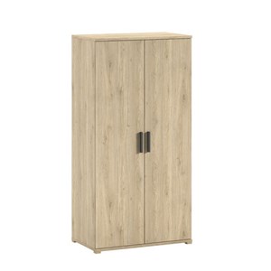 Armoire vipack marron