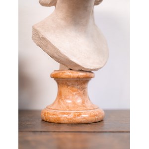 Alix, le buste en plâtre n°457