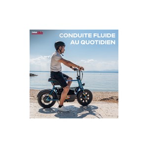 Draisienne électrique urbanglide thunder 160 – 25 km/h, 30 km d'autonomie