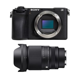 Sony alpha 6700 + sigma 16-300mm f3.5-