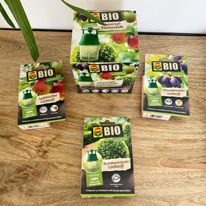 Attractif pour carpocapse des prunes bio