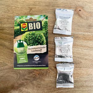 Attractif pyrale du buis bio