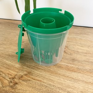 Attractif pyrale du buis bio