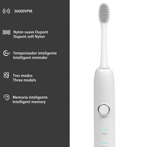 Brosse à dents électrique avec batterie rechargeable et tête.