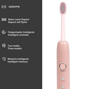 Brosse à dents électrique avec batterie rechargeable et tête.