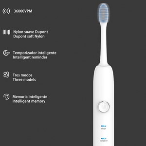 Brosse à dents électrique avec batterie rechargeable et tête.