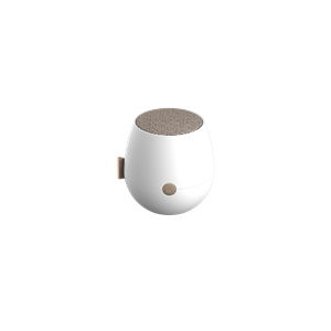 Enceinte bluetooth
