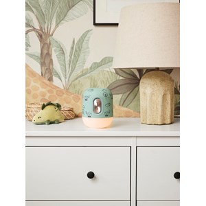 Enceinte bluetooth et lampe