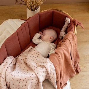 Couverture polaire babbling birds