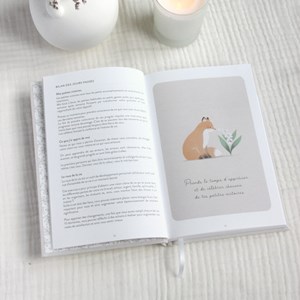 Journal de gratitude