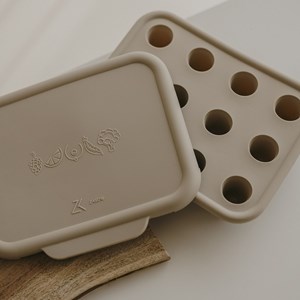 Bac à glaçons